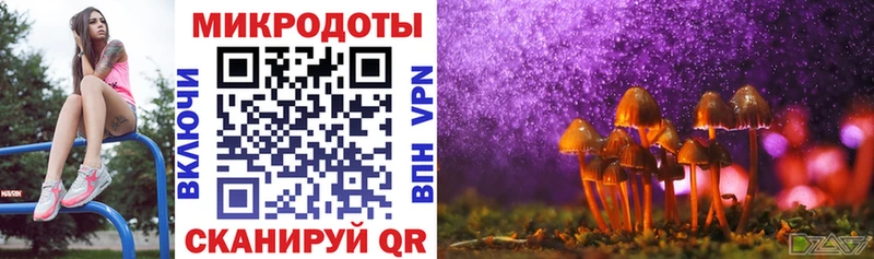 hydra зеркало  Михайловск  Псилоцибиновые грибы Psilocybine cubensis  где найти наркотики 